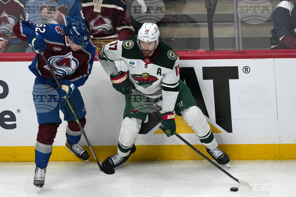 Wild Avalanche Hockey