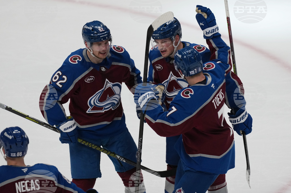 Wild Avalanche Hockey