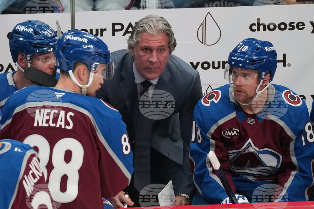 Wild Avalanche Hockey