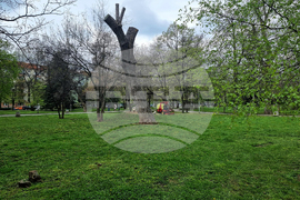 Десислава Билева - проверка на дейностите по косенето в столичния парк "Заимов"