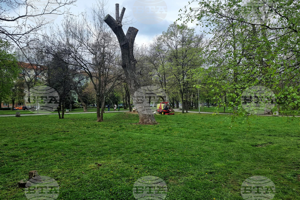 Десислава Билева - проверка на дейностите по косенето в столичния парк "Заимов"
