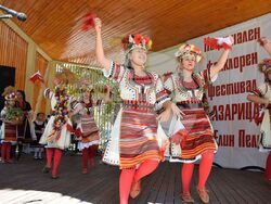 Снимка: Община Елин Пелин