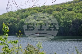 Разград - издирвана - полиция - Пчелина
