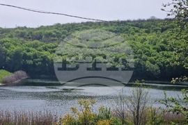 Разград - издирвана - полиция - Пчелина