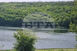 Разград - издирвана - полиция - Пчелина