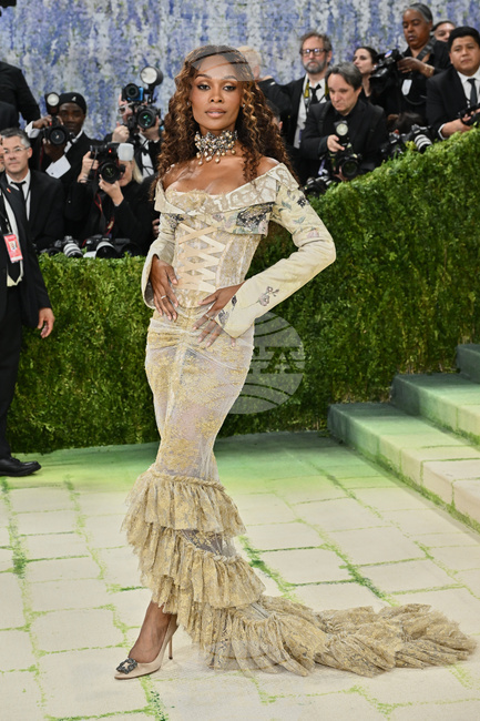 2026 MET Museum Costume Institute Benefit Gala