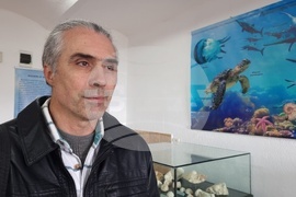 Сливен - „Фосили от Мезозойската ера" - изложба - Петър Петров