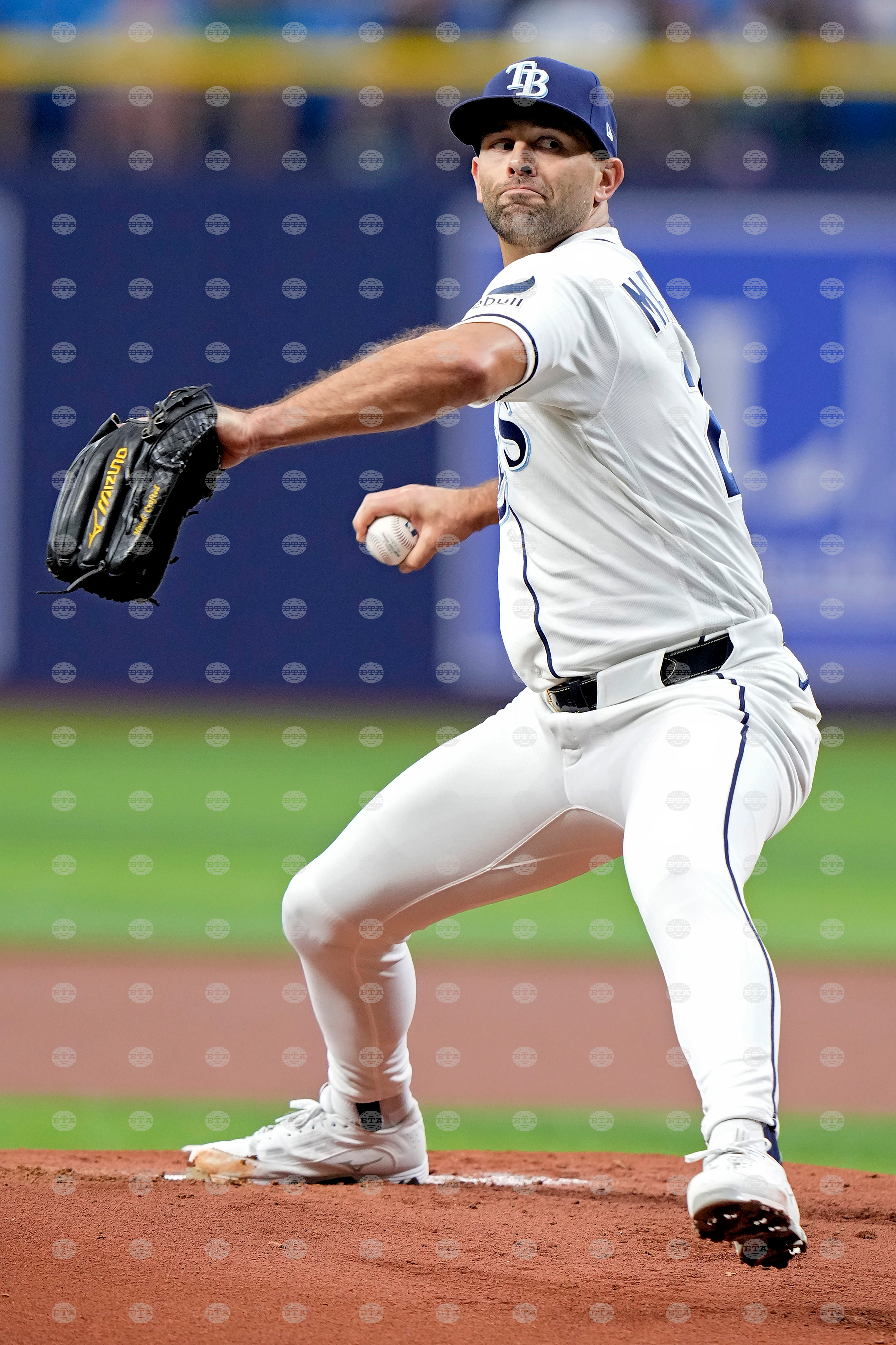 Blue Jays Rays Baseball