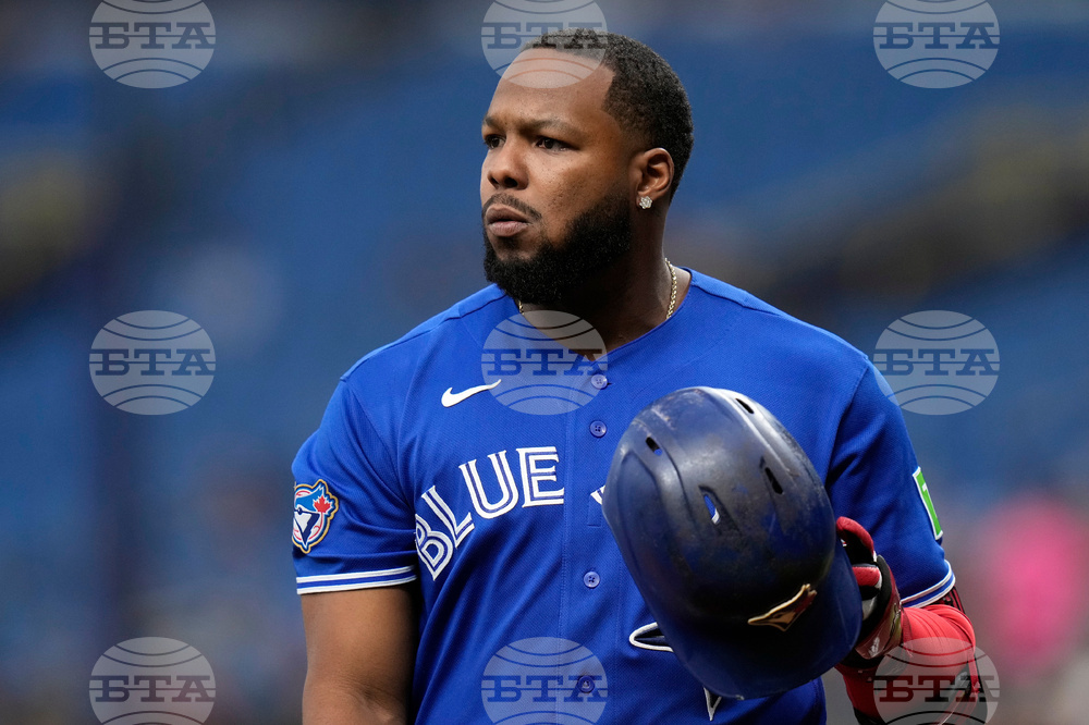 Blue Jays Rays Baseball