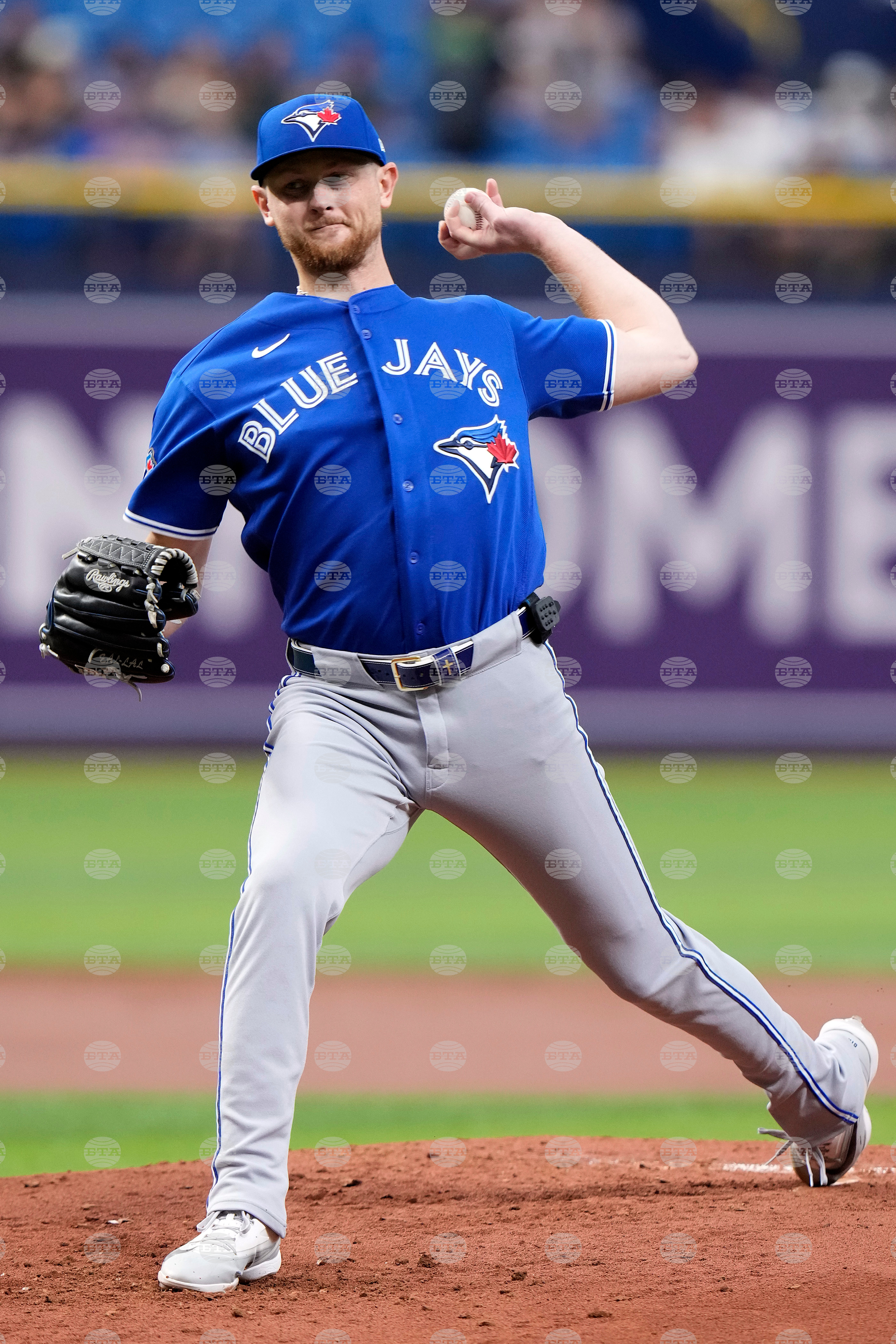 Blue Jays Rays Baseball