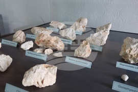 Сливен - „Фосили от Мезозойската ера" - изложба