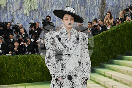 2026 MET Museum Costume Institute Benefit Gala