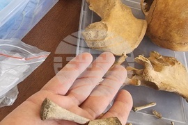 Варна - палеоантропология - проект