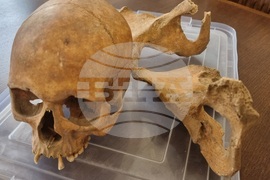 Варна - палеоантропология - проект