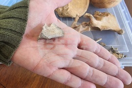 Варна - палеоантропология - проект