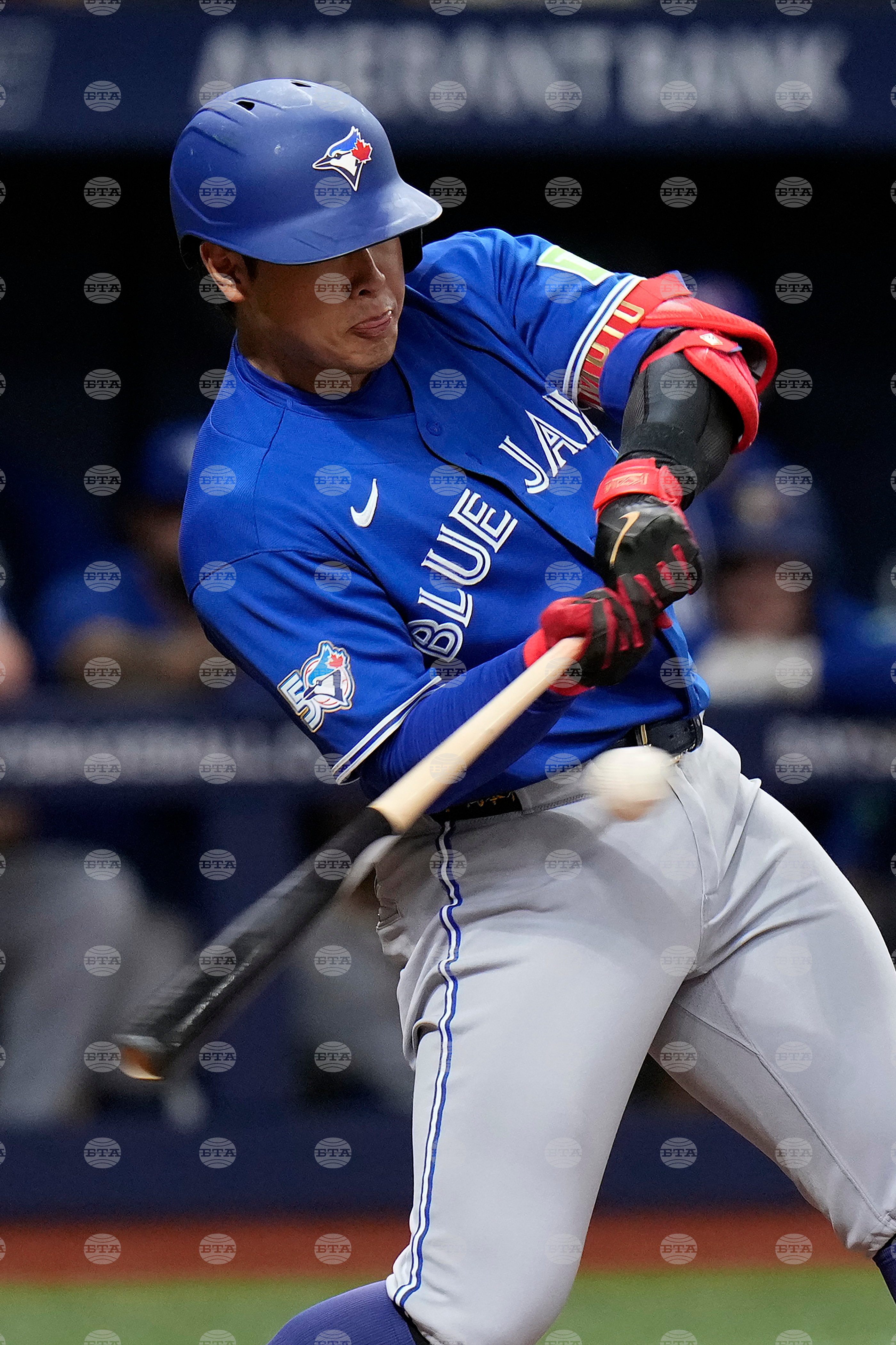 Blue Jays Rays Baseball