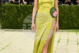 2026 MET Museum Costume Institute Benefit Gala