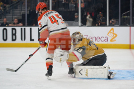 Ducks Golden Knights Hockey