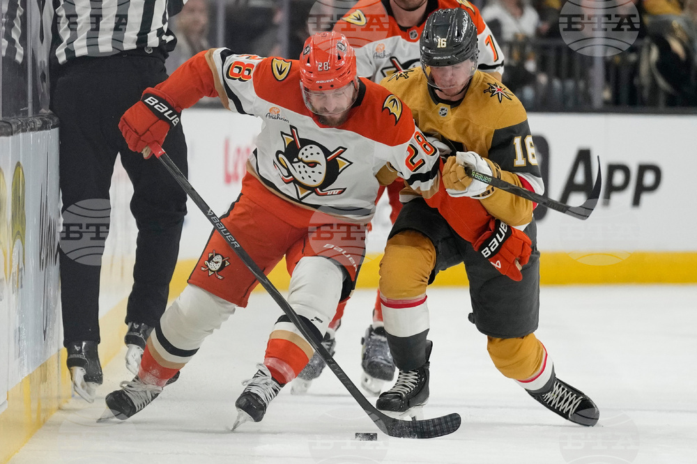 Ducks Golden Knights Hockey