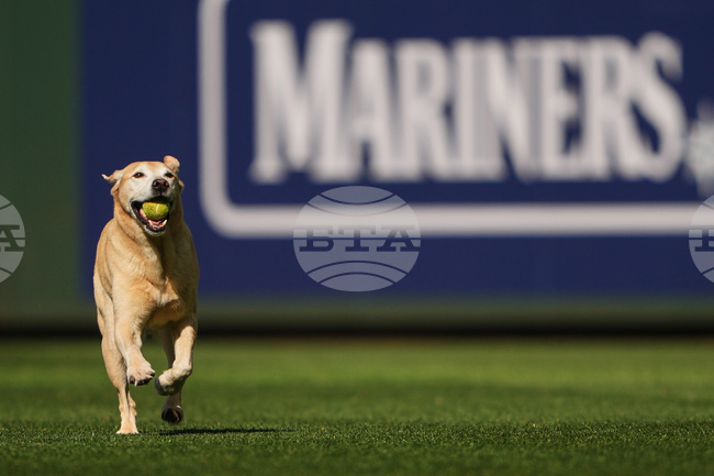 Braves Mariners Baseball