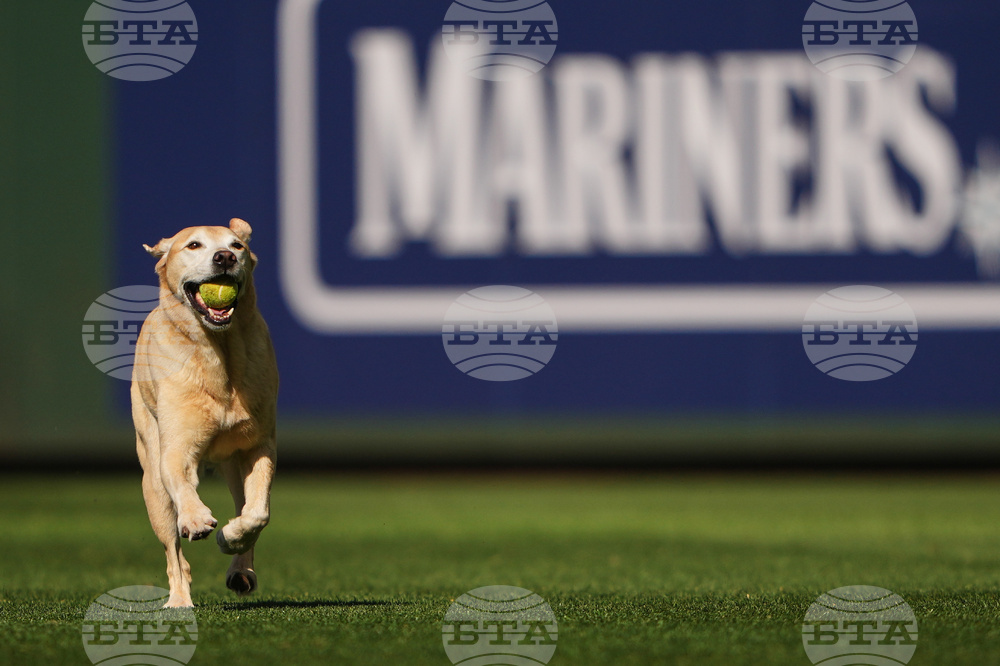 Braves Mariners Baseball