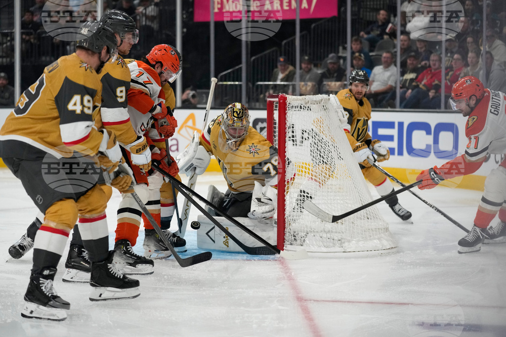 Ducks Golden Knights Hockey