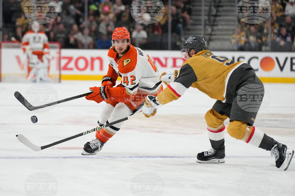 Ducks Golden Knights Hockey