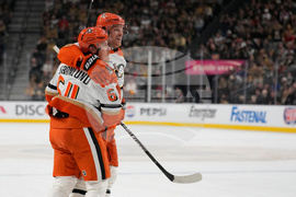 Ducks Golden Knights Hockey