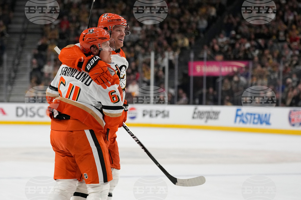 Ducks Golden Knights Hockey