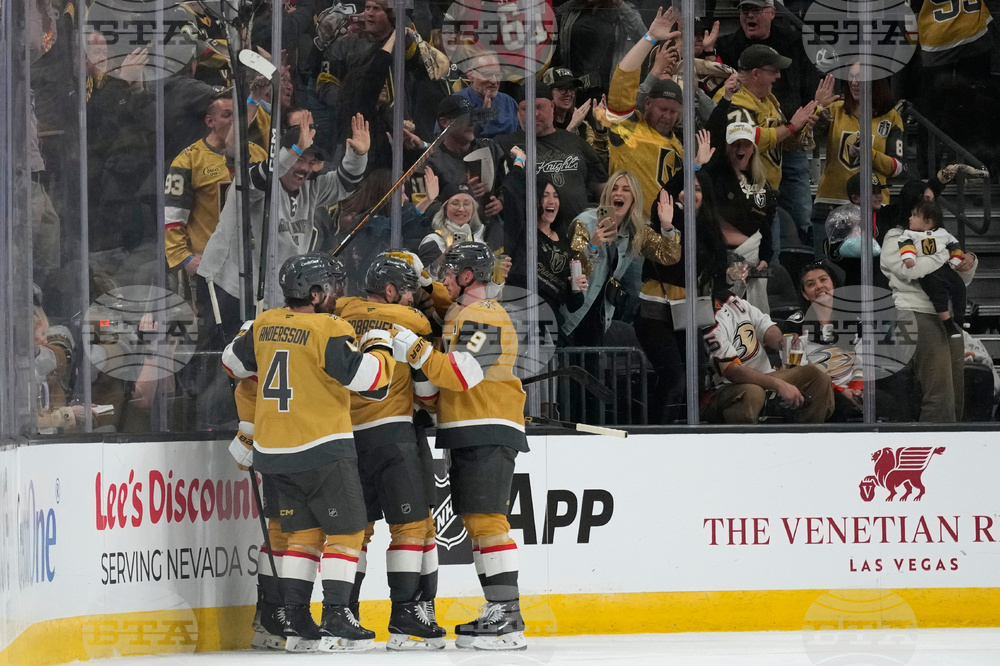Ducks Golden Knights Hockey