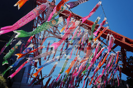 Japan Children's Day