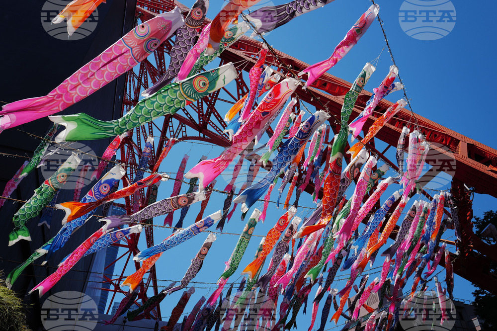 Japan Children's Day