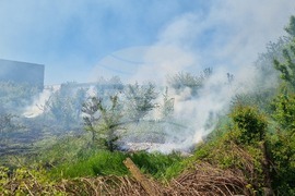 Село Разбойна - пожар - гасене