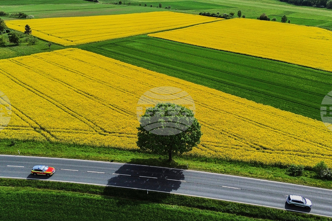 Germany Daily Life