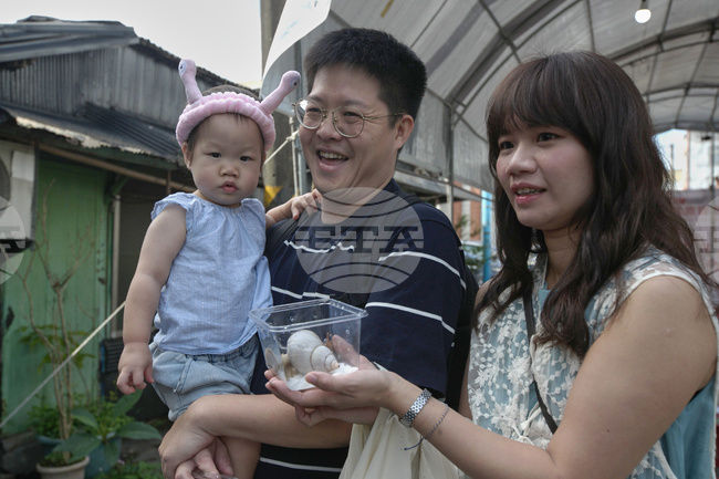 CORRECTION Taiwan Snail Town