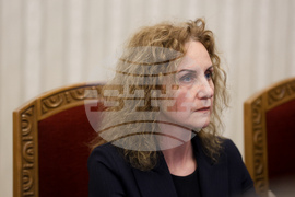 Президент - „Демократична България " - консултации - Катя Панева