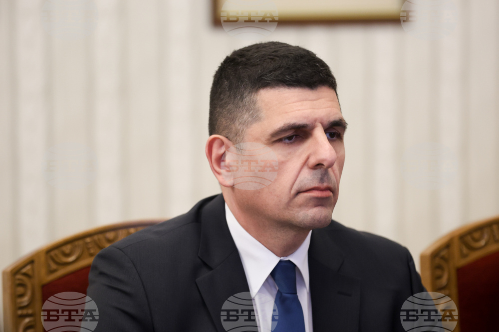Президент - „Демократична България " - консултации - Ивайло Мирчев