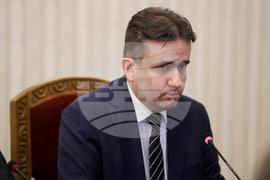 Президент - „Демократична България " - консултации - Божидар Божанов