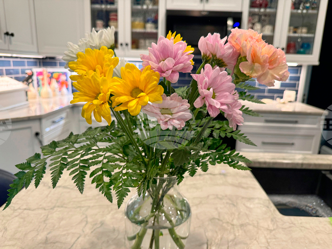 Gardening - Cut Flowers Care