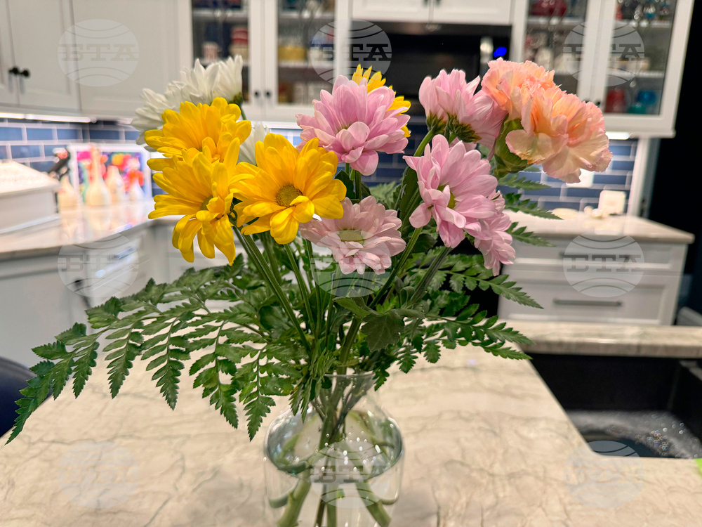 Gardening - Cut Flowers Care