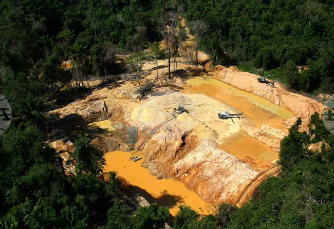 Brazil Amazon Illegal Mining