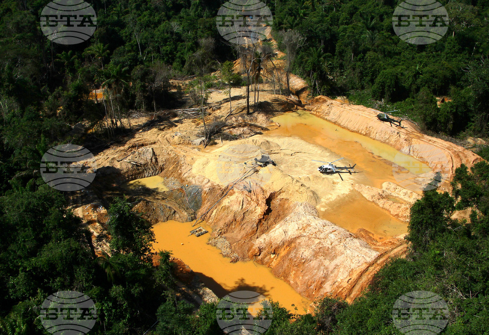 Brazil Amazon Illegal Mining