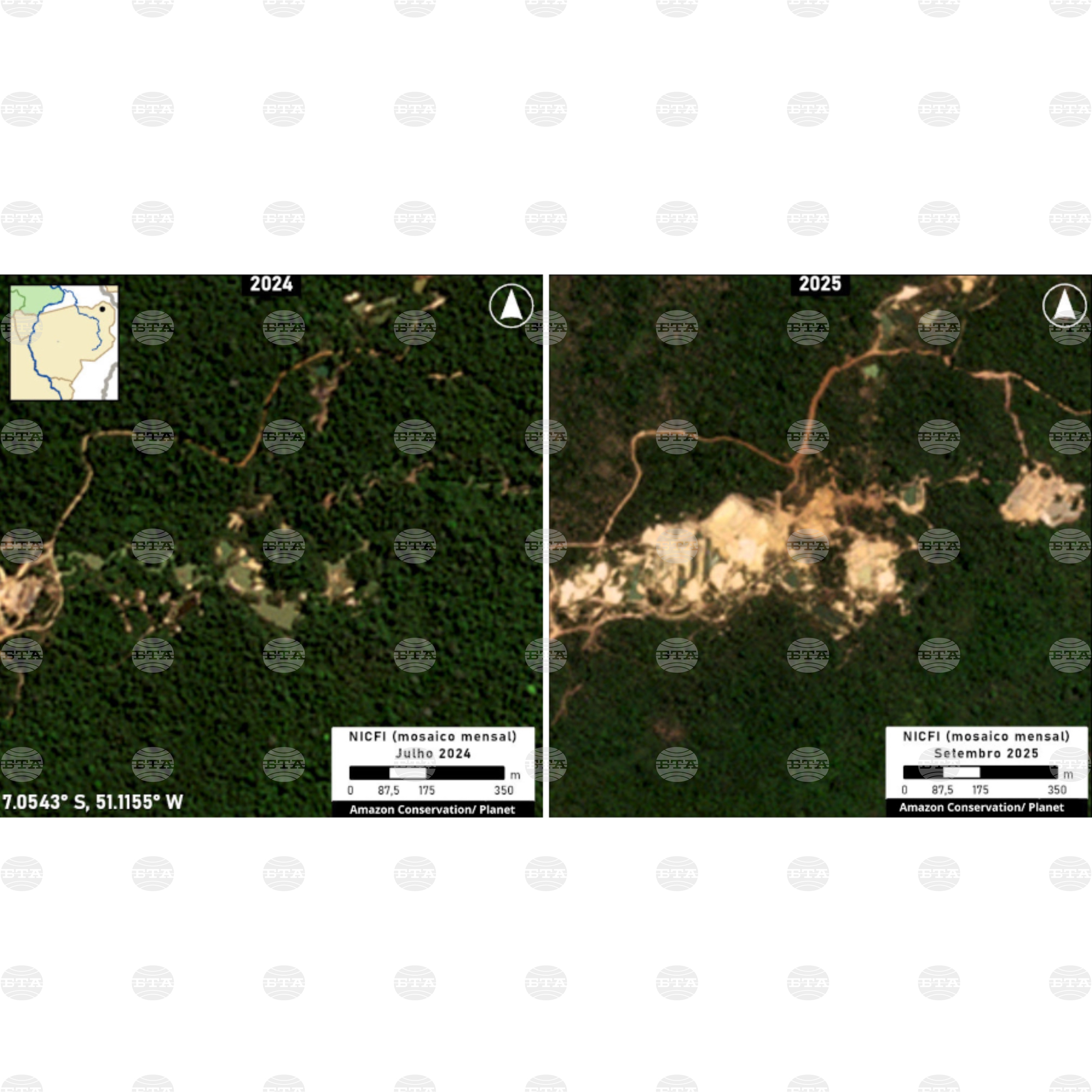 Brazil Amazon Illegal Mining