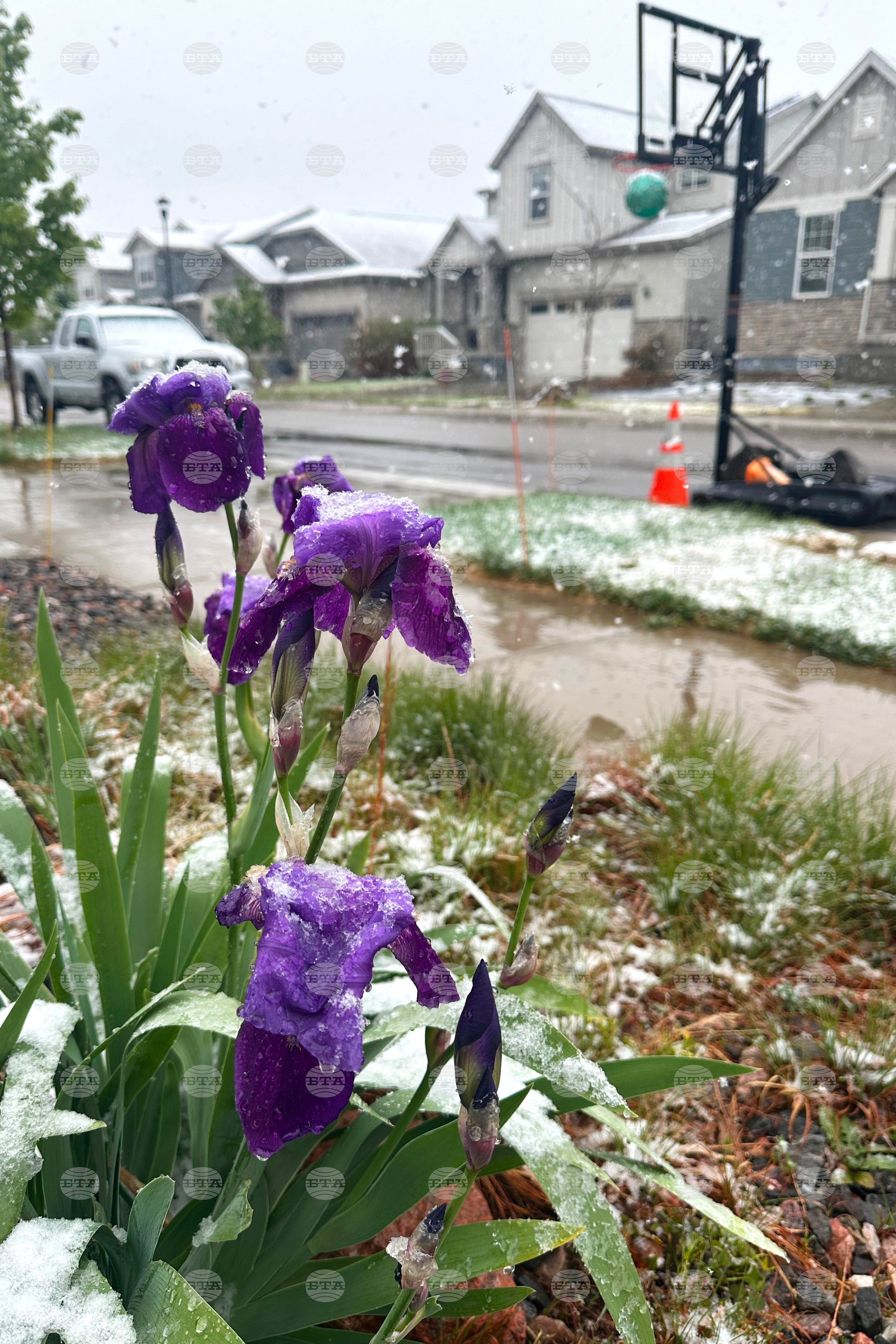 West Snow