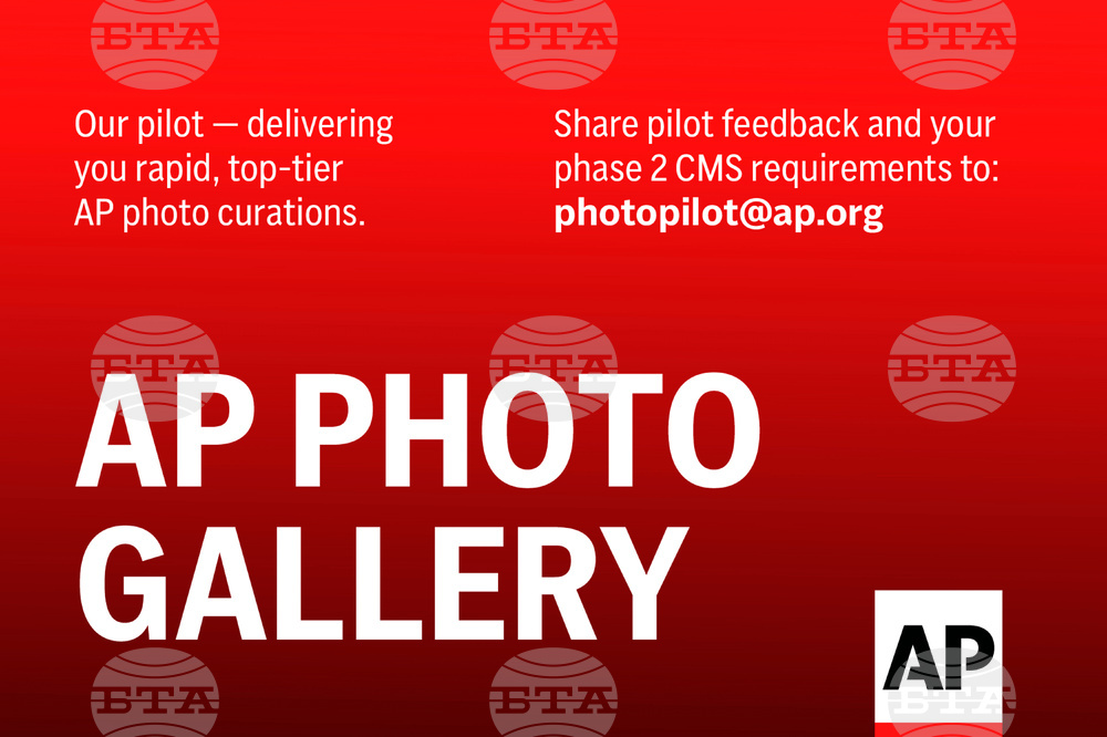 Photos of the Day