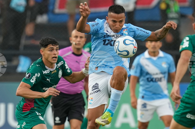 Peru Brazil Copa Libertadores Soccer