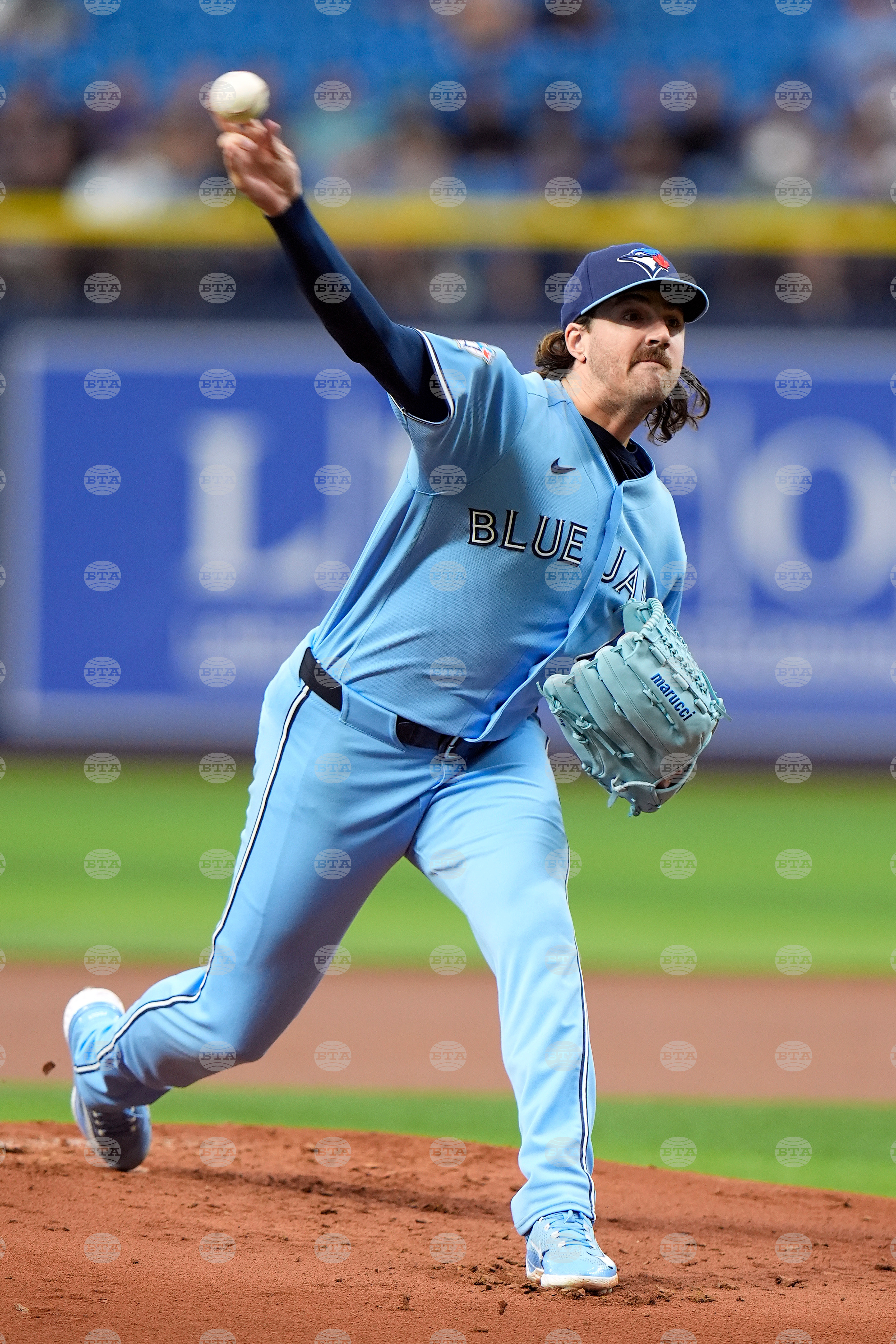 Blue Jays Rays Baseball