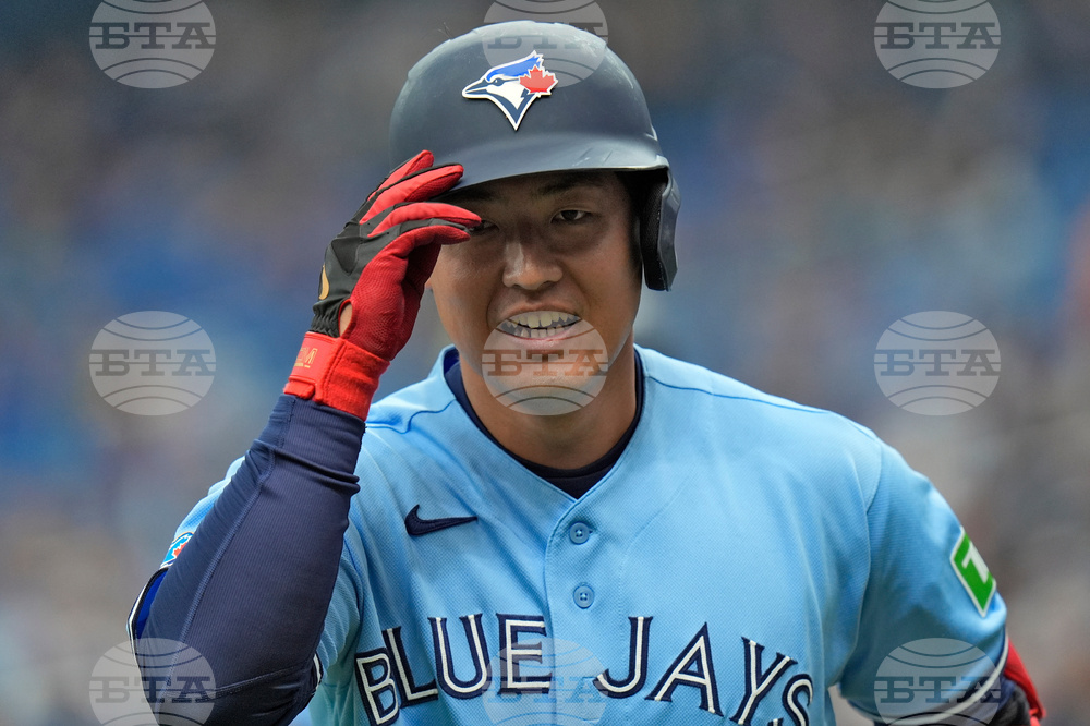 Blue Jays Rays Baseball