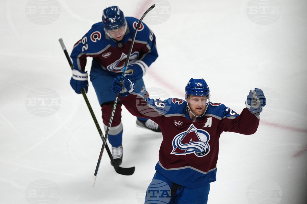 Wild Avalanche Hockey