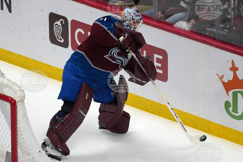 Wild Avalanche Hockey